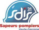 SDIS31
