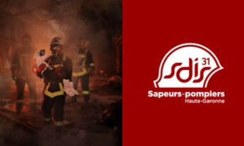 SDIS31