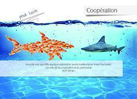 cooperation