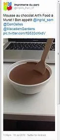 tweet-mousse