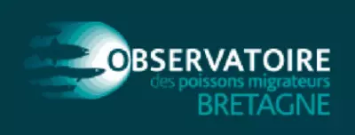 Observatoire poissons Image 1
