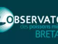 Observatoire poissons Image 1