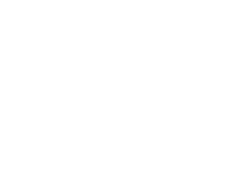Logo proscess