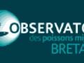 Observatoire poissons Image 1