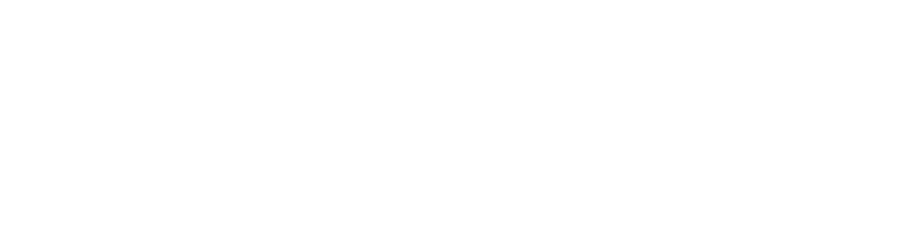 Logo NEOSIT